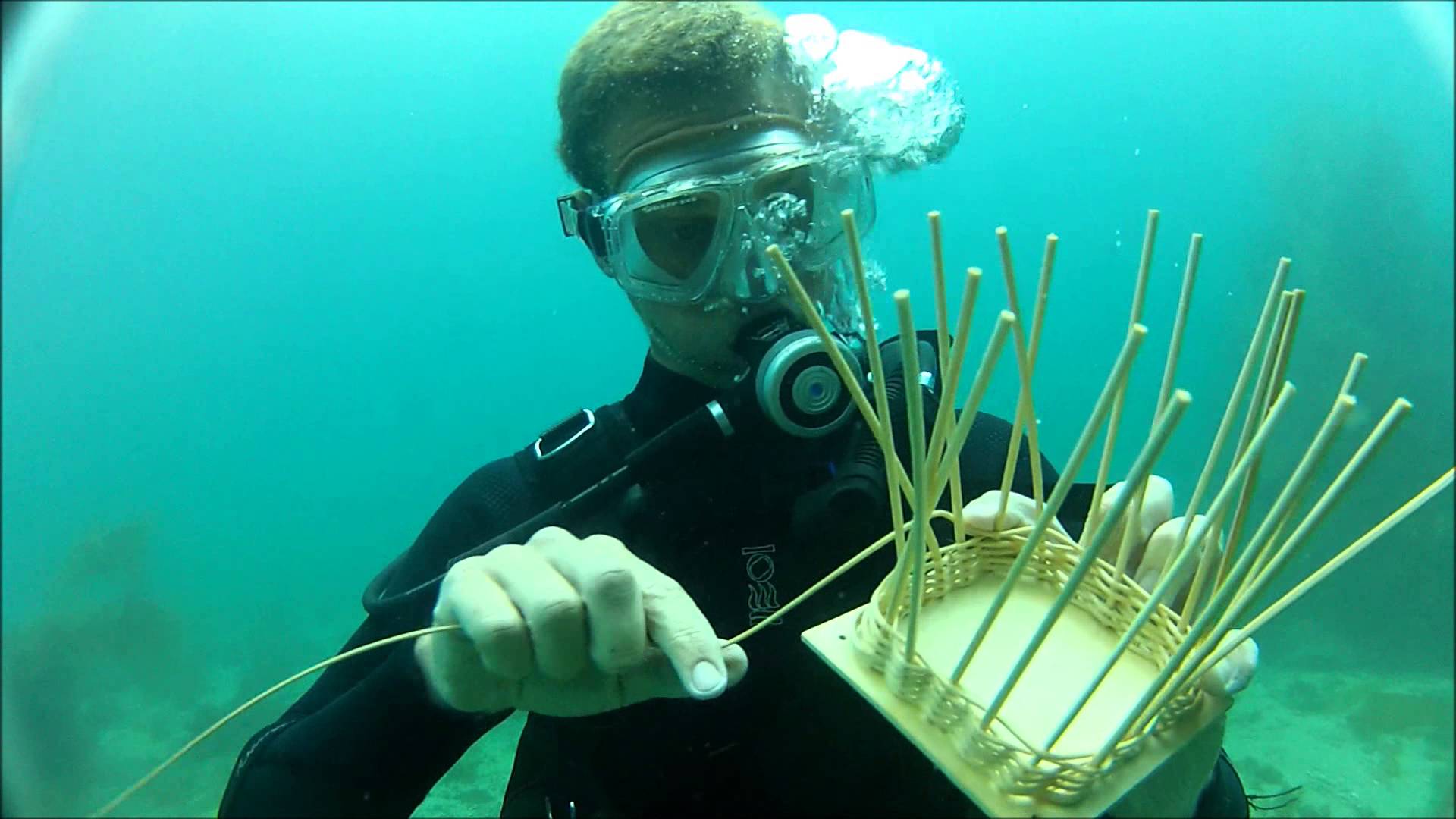 Underwater Basket Weaving photo